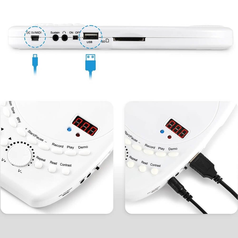 EVERYONE GAIN Portable 88 Keys USB Soft Flexible Electronic Piano Keyboard with Pedal & Built-in Speaker - Imported from UK