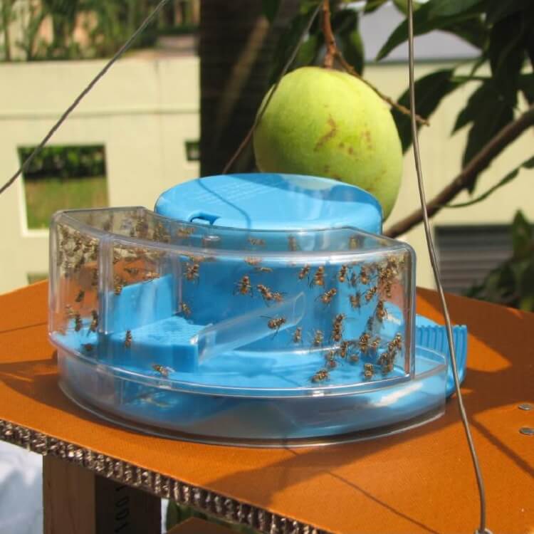 G.A. Fly Catcher, Fly Trap Pest Device - Imported from UK