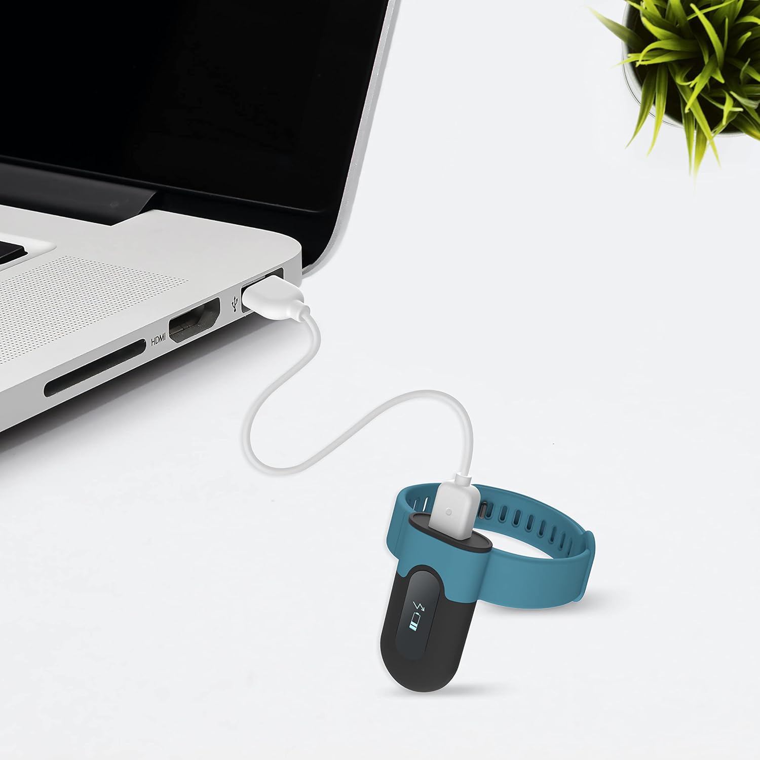 Wellue Original USB Data Cable, Capable of Transferring data for Checkme O2 Pro & Max, Visual Oxy, Oxiband Ring Pulse Oximeter, O2Ring, KidsO2, BabyO2, BabyS2 - Imported from UK