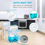 Levoair 2L Dehumidifier, Small Dehumidifier with Drain Hose for Up to 650sq.ft Ultra Quiet Portable Dehumidifier Ideal for Removing Damp Mold Moisture - Imported from UK