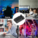 Energy Fort Mini Gaming Keypad, 12 Keys 2 Knobs Blue Switch Programming Macro Pad with RGB Light for Industry Multiple Customization Supported - Imported from UK