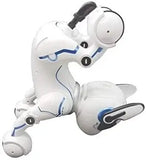 LEXIBOOK Power Puppy Smart Robotic Dog with Remote Control  (Container Product as it is, No Warranty, No Guarantee, No Return, No Exchange)  - Imported from UK