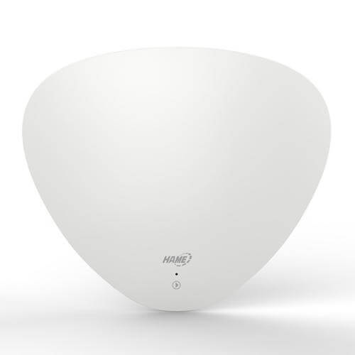 HAME SOUNDROUTER, Turns Regular Speakers into WIFI Speakers  (Container Product as it is, No Warranty, No Guarantee, No Return, No Exchange) - Imported from UK