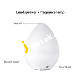 Bluetooth Aromatherapy Essential Oil Diffuser 450Ml Cool Mist Humidifier With Colorful Night Light -