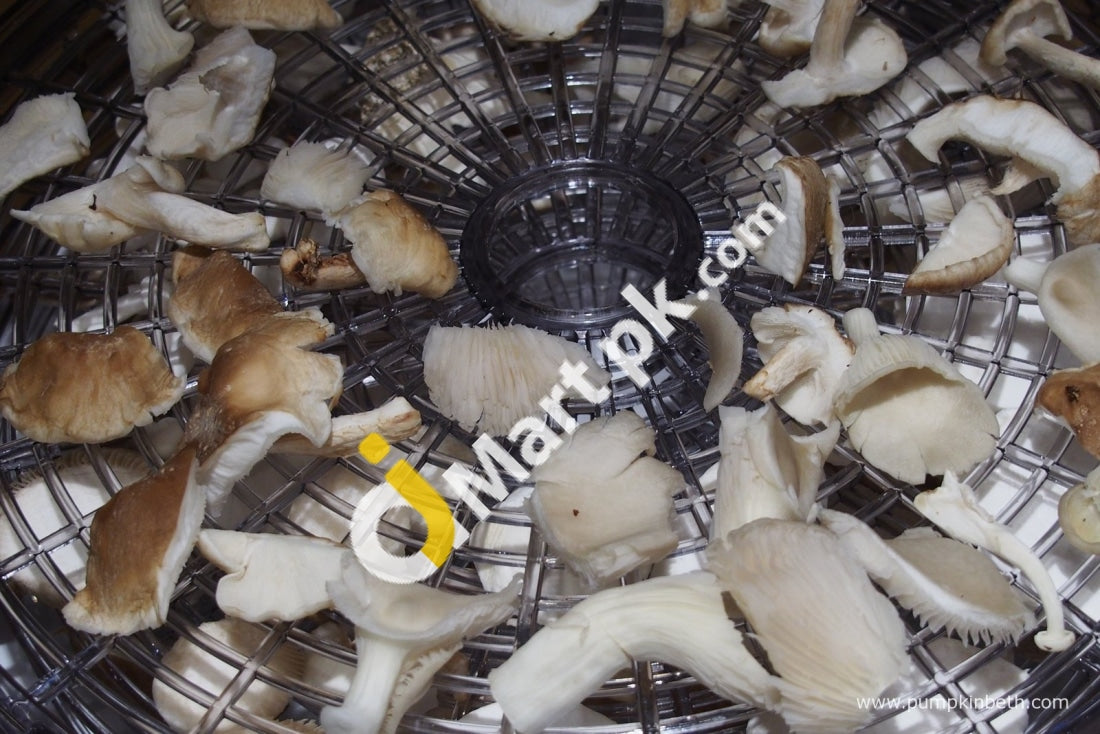 Lakeland Food Dehydrator With 5 Removable Transparent Drying Trays - Imported From Uk