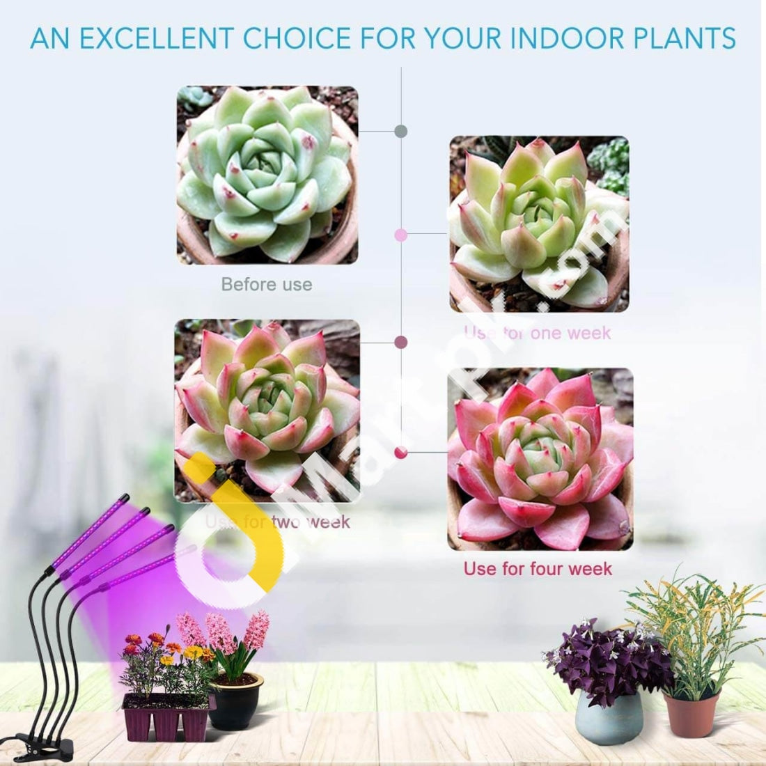 Leoter Grow Light For Indoor Plants Upgraded Version 80 Leds Lamp With Full Spectrum Timer 10