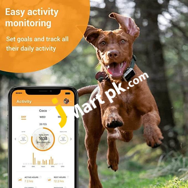 Pawfit gps pet shop tracker & activity monitor