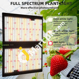 Wakyme J-2000W Led Grow Light 700Pcs Waterproof Dimmable Leds Full Spectrum Lamp With Meanwell