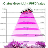 Olafus 300W Grow Light VEG & Bloom Plant Lamp 3 Modes Full Spectrum 80 LEDs Stimulates Germination & Flowering [Energy Efficiency Class A+] - Imported from UK