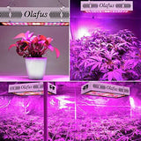 Olafus 300W Grow Light VEG & Bloom Plant Lamp 3 Modes Full Spectrum 80 LEDs Stimulates Germination & Flowering [Energy Efficiency Class A+] - Imported from UK