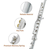 Cecilia CFE-28N Closed Hole C Flute for Beginner - Imported from UK