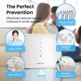 The Perfect Dehumidifier Pakistan