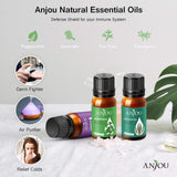 Anjou Aromatherapy Essential Oils Set 10 x 5ml Bottles, Pure & Healthy for Diffuser, Humidifier, Massage, Skin/Hair Care, Air Freshener - Imported from UK