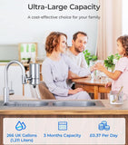 Chrome faucet and a cylindrical water filter attached