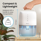 Lightweight Dehumidifier Pakistan