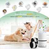Pet dander filter