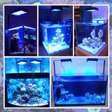 PopBloom 30W LED Aquarium Light with Remote Control Mini Nano Fish Tank Lighting Reef LED Lamp - Imported from UK