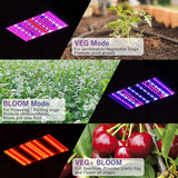 UEIUA 1000W LED Grow Light with Remote Control Full Spectrum Double Switch Grow Lamp for Indoor Plants Veg & Flower with Multi-Period Timing Function - Imported from UK