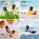 Anjou Aromatherapy Essential Oils Set 10 x 5ml Bottles, Pure & Healthy for Diffuser, Humidifier, Massage, Skin/Hair Care, Air Freshener - Imported from UK