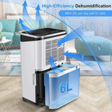 Pasapair 20L Dehumidifier with 6L Water Tank, Auto & Manual Drainage Function, Timer Function, Child-lock Function, Ultra Quiet Ideal for Removing Damp Mold Moisture from Basements, Home, Kitchen, Large Room, Bedroom, Garage - Imported from UK