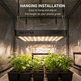 BESTVA LED hanging grow light suspended inside a reflective grow tent