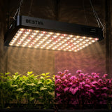 Bestva 1500W LED grow light Pakistan