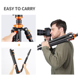 K&F Concept 78" Aluminum DSLR Tripod with 360° Ball Head & 10KG Load for Travel & Work, Compact Portable Vlog Tripod Monopod K234A7+BH-28L (S210) - Imported from UK