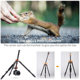 K&F Concept 78" Aluminum DSLR Tripod with 360° Ball Head & 10KG Load for Travel & Work, Compact Portable Vlog Tripod Monopod K234A7+BH-28L (S210) - Imported from UK