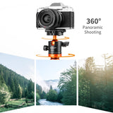 K&F Concept 78" Aluminum DSLR Tripod with 360° Ball Head & 10KG Load for Travel & Work, Compact Portable Vlog Tripod Monopod K234A7+BH-28L (S210) - Imported from UK