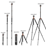 K&F Concept 78" Aluminum DSLR Tripod with 360° Ball Head & 10KG Load for Travel & Work, Compact Portable Vlog Tripod Monopod K234A7+BH-28L (S210) - Imported from UK