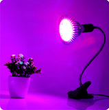 LEDGLE 45W LED Grow Light Full Spectrum Phyto Lamp LED Bulb For Garden Plant Flower Seed Growth Grow E26/E27 Par38 - Imported from UK