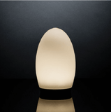 Tops Egg Shape Color Changing Bluetooth Table Mobile Lamp with Frosted Glass Shade - Imported from UK