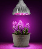 LEDGLE 45W LED Grow Light Full Spectrum Phyto Lamp LED Bulb For Garden Plant Flower Seed Growth Grow E26/E27 Par38 - Imported from UK