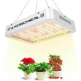 KOSCHEAL 600W LED Grow Light Full Spectrum Grow Lamp with Daisy Chain White Led with UV & IR for Hydroponics Indoor Plants - Imported from UK