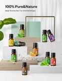 Anjou Aromatherapy Essential Oils Set 10 x 5ml Bottles, Pure & Healthy for Diffuser, Humidifier, Massage, Skin/Hair Care, Air Freshener - Imported from UK