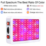 KINGLED King Plus Series 1000W LED Grow Light, Double Chips Full Spectrum with UV & IR for Greenhouse Indoor Plant Veg & Flower - Imported from UK