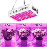 KINGLED King Plus Series 1000W LED Grow Light, Double Chips Full Spectrum with UV & IR for Greenhouse Indoor Plant Veg & Flower - Imported from UK