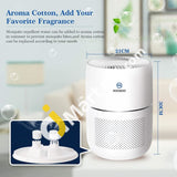 Air Purifier With True Hepa Filter 4 Stage Filtration System Smart Monitoring Sensor & Active Carbon