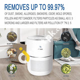 Air Purifier With True Hepa Filter 4 Stage Filtration System Smart Monitoring Sensor & Active Carbon